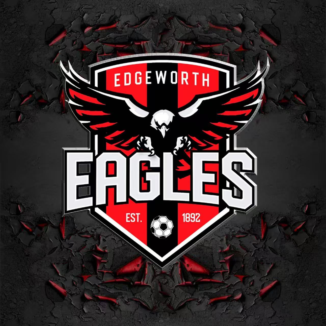 Edgeworth Eagles