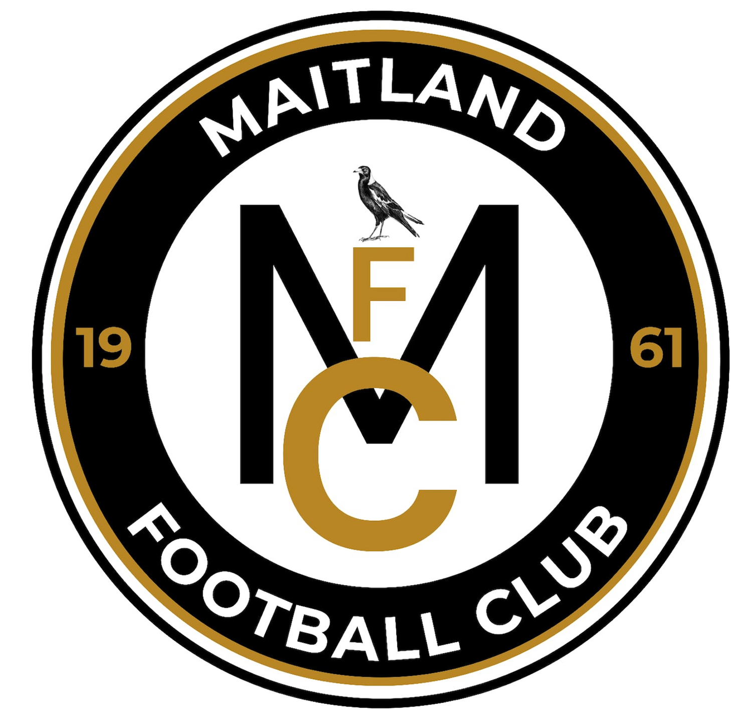 Maitland FC